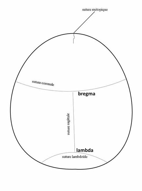 les surfaces en présence