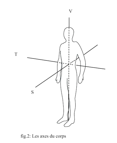 les axes du corps