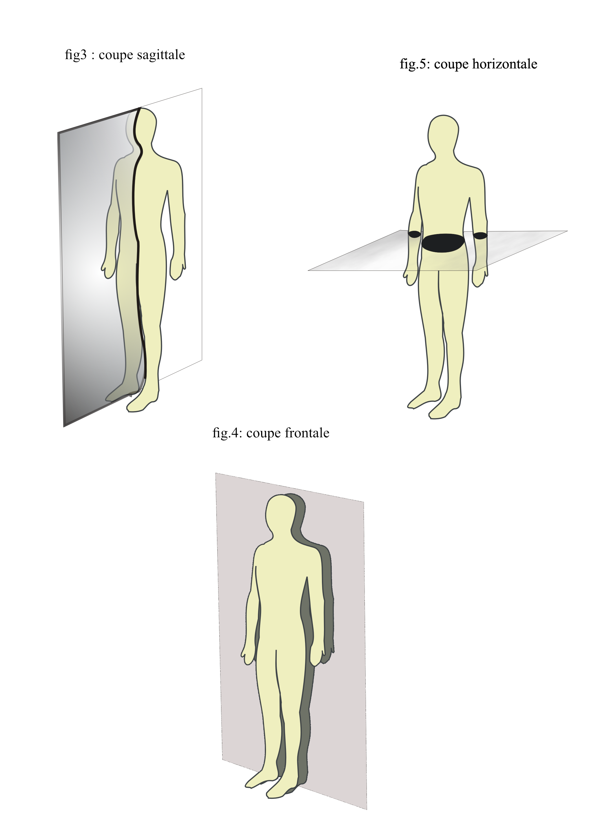 les plans du corps