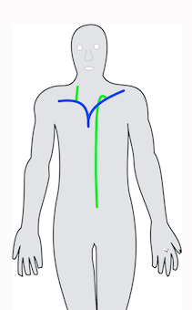 conduit thoracique