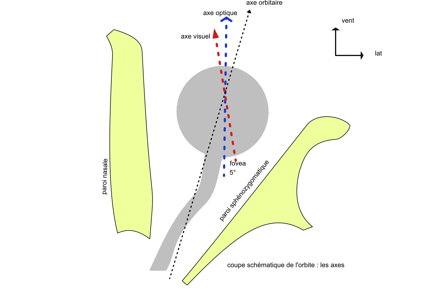 les axes de l'oeil